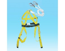 B-Dây an toàn toàn thân 2 móc lớn D.66